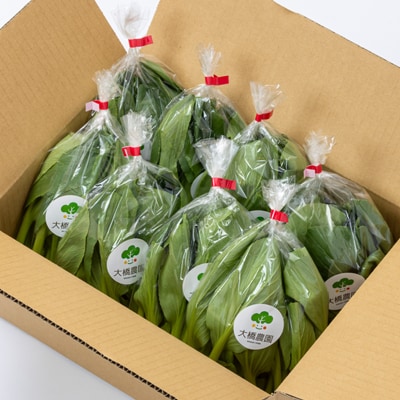 大橋農園のベビーチンゲン菜:3株入り×8袋【配送不可地域：離島】【1366726】