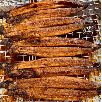 三河一色産　うなぎ蒲焼　2尾　【配送不可地域：離島】【1367416】