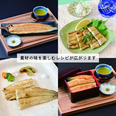 みかわ安城うなぎ　大きな白焼き　2尾【配送不可地域：離島】【1631472】