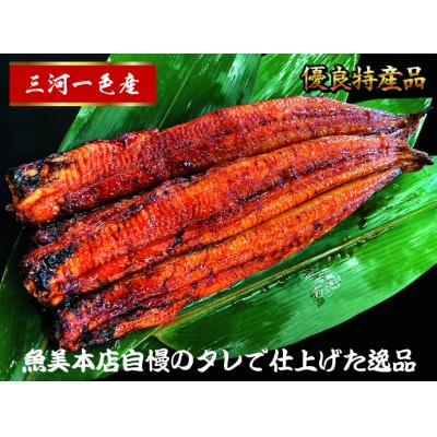 三河一色産　うなぎ蒲焼　2尾　【配送不可地域：離島】【1367416】