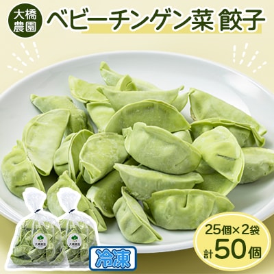 大橋農園のベビーチンゲン菜餃子 25個入×2袋 冷凍【配送不可地域：離島】【1370441】
