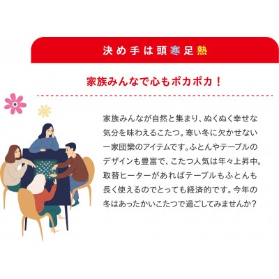 愛知県安城市　こたつ用取替ヒーターMCU-501EC(KB)【1533848】