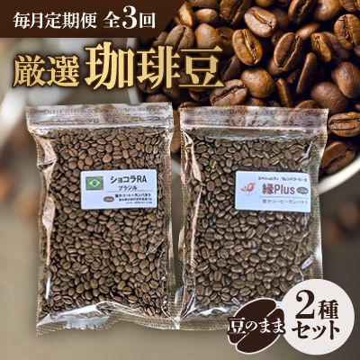 【毎月定期便】お楽しみ　厳選珈琲豆100g(豆のまま)×2種類セット全3回【4004562】