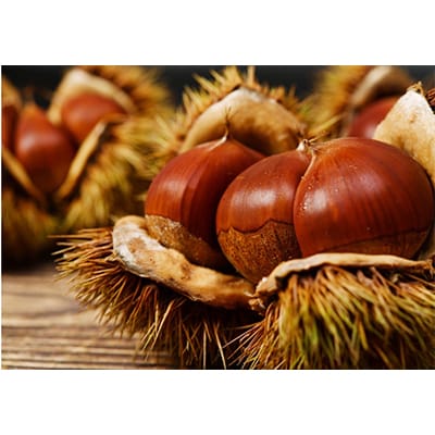 繝繝サ繝ャ繝シ繝エ縺ョ豈ャ譬励す繝ァ繧ウ繝ゥ繝繝ェ繝シ繝後励Μ繝ウ縲宣埼∽ク榊庄蝨ー蝓滂シ夐屬蟲カ縲代1283756縲