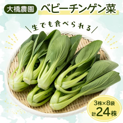 大橋農園のベビーチンゲン菜:3株入り×8袋【配送不可地域：離島】【1366726】