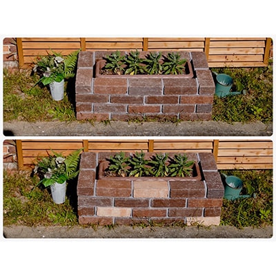 ãDIYå
¥éç·šãããè±ã ãä»®çµã»ãããè€æ°åå£ã§é
éãã4006308ã