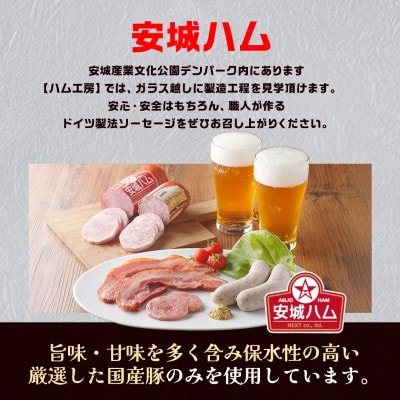 「豚肉を楽しむ」 安城ハム ソーセージ等 5種贅沢詰め合わせ!DJセット　デンパークハム工房内製造【配送不可地域：離島】【1632733】