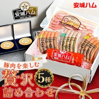 「豚肉を楽しむ」 安城ハム ソーセージ等 5種贅沢詰め合わせ!DJセット　デンパークハム工房内製造【配送不可地域：離島】【1632733】