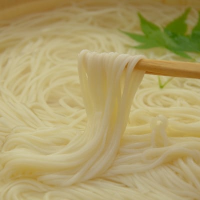 【期間限定】和泉手延べ麺　半生もどし長そうめん　たつみ麺店【1297419】