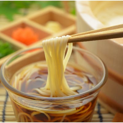 和泉手延べ麺　半生もどし長そうめん・乾ひやむぎ(計19人前)　たつみ麺店(STSSD)【1230118】