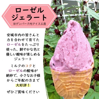 ãã³ããŒã¯å
¥ååž2æ+ããŒãŒã«ãžã§ã©ãŒãåŒæåž2æ/æç¥çå®ååžã1686737ã