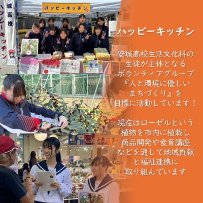 デンパーク入園券2枚+ローゼルジェラート引換券2枚+クッキー作り体験券1枚/愛知県安城市【1686742】