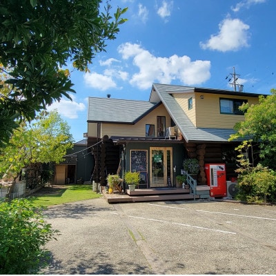 保護猫ホーム&カフェねこらぼ　施設ご利用券　3000円分【1349586】