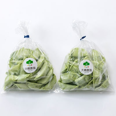 螟ァ讖玖セイ蝨偵ョ繝吶ン繝シ繝√Φ繧イ繝ウ闖憺、蟄 25蛟句・テ2陲 蜀キ蜃阪宣埼∽ク榊庄蝨ー蝓滂シ夐屬蟲カ縲代1370441縲