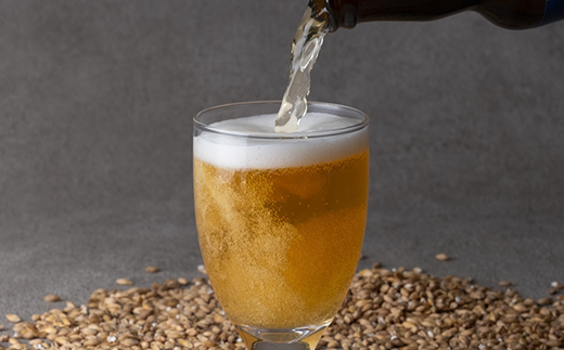 安城産大麦使用クラフトビール2種4本詰め合わせセット【配送不可地域：離島】【1669336】