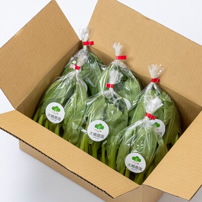 大橋農園のベビーチンゲン菜:3株入り×6袋【配送不可地域：離島】【1364665】