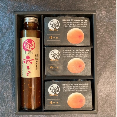 醗の赤生タレ　醗酵ブレンド　1本+ミネラル醗酵梅ソース3個(化粧箱入り)【配送不可地域：離島】【1339809】