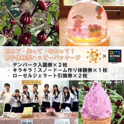 デンパーク入園券2枚+ローゼルジェラート引換券2枚+スノードーム作り体験券1枚/愛知県安城市【1686741】