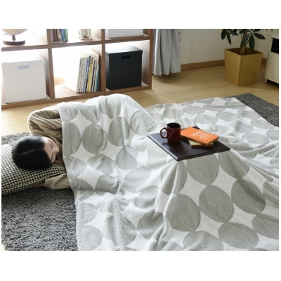 愛知県安城市　天板付き一人用こたつ　MPQ-102B(B)【1428356】