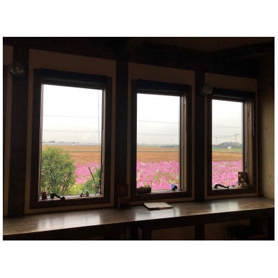 自家焙煎コーヒー豆(スペシャルティブレンド&マンデリン)とパティシエの焼き菓子　詰め合わせ【1264462】