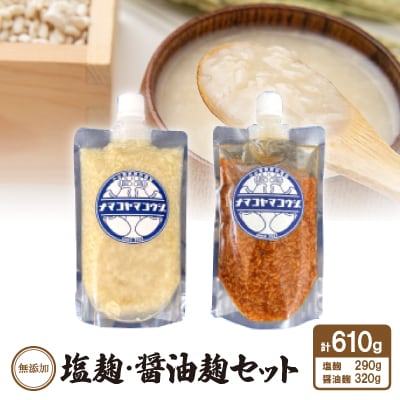 無添加　塩麹・醤油麹セット【配送不可地域：離島】【1438029】