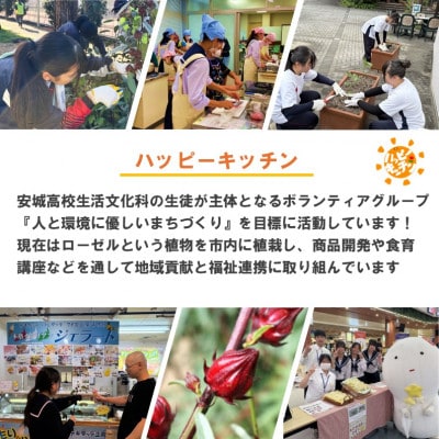 デンパーク入園券2枚+ローゼルジェラート引換券2枚+パン作り体験券1枚/愛知県安城市【1686739】