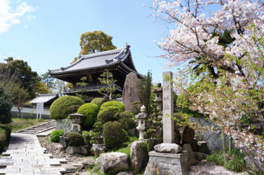 文化芸術BOOSTERS