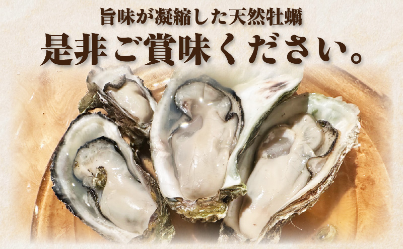 菴蝉ケ蟲カ逕」螟ゥ辟カ逵溽横陟」縲蜿ょキ槭が繧、繧ケ繧ソ繝シ縲3緕鞘岡驟埼#荳榊庄繧ィ繝ェ繧「シ壼圏豬キ驕薙サ豐也ク繝サ髮「蟲カ繝サ譚ア蛹励サ荵晏キ樞沖繝サE030