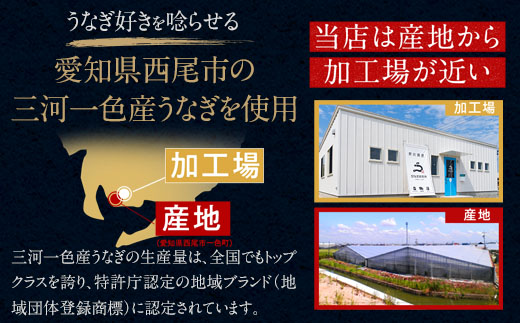 三河一色産うなぎ蒲焼超特大2尾(計360g以上)・R046