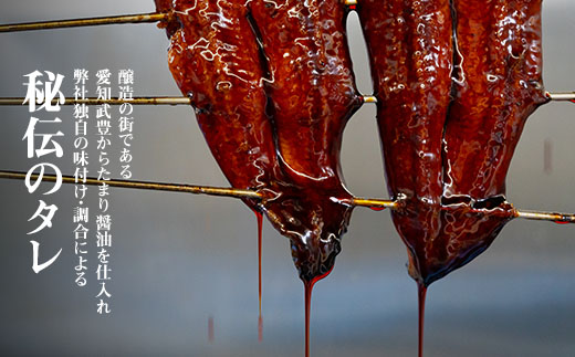 三河一色産うなぎ蒲焼特大4尾(計640g以上)・R044