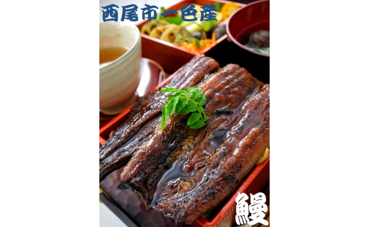 一色産うなぎ蒲焼 無頭(4〜6尾　合計600g以上)・T055-29