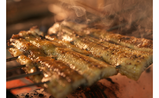 手焼き三河一色産1年うなぎ蒲焼2尾(約280g)・A140-17