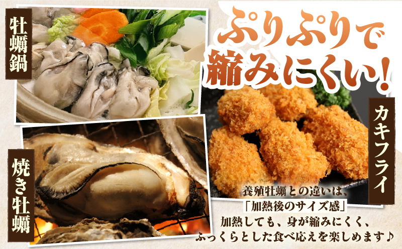 菴蝉ケ蟲カ逕」螟ゥ辟カ逵溽横陟」縲蜿ょキ槭が繧、繧ケ繧ソ繝シ縲3緕鞘岡驟埼#荳榊庄繧ィ繝ェ繧「シ壼圏豬キ驕薙サ豐也ク繝サ髮「蟲カ繝サ譚ア蛹励サ荵晏キ樞沖繝サE030