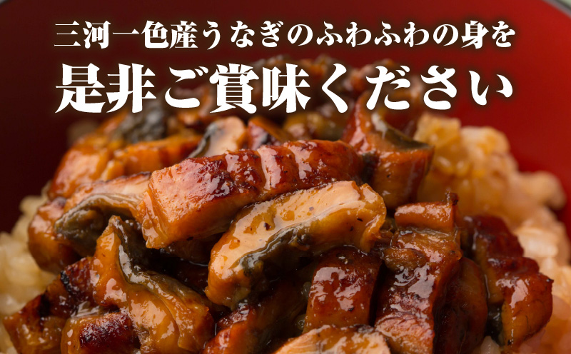 三河一色産　うなぎ蒲焼まぶしセット4人前・O064