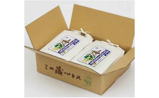 【令和7年産】西尾のお米10kg(こしひかり5kg×2)・K195-31