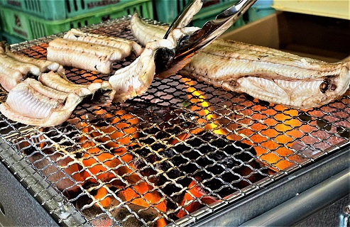 活きを開いてすぐ発送♪生うなぎ開き3〜5本(約700g)ご家庭で蒲焼、白焼きに！・K188-25