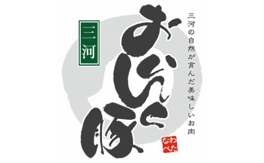 三河おいんく豚カレー【赤】(愛知の赤味噌入り)3箱・O033-8