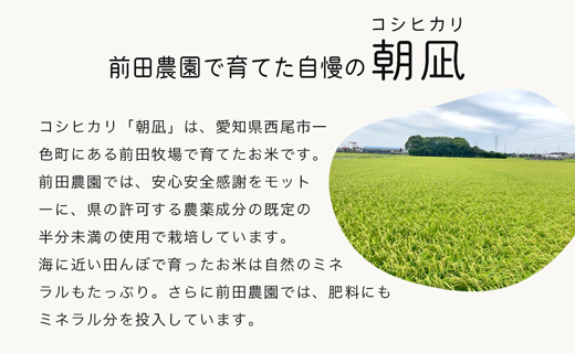 【定期便】西尾市一色町のお米≪朝凪(コシヒカリ)≫　9kg×3ヶ月・M075-45