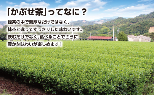 素材にこだわったジェラート＜かぶせ茶5個、バニラ5個＞詰め合わせ、かぶせ茶パウダー付・N055-17