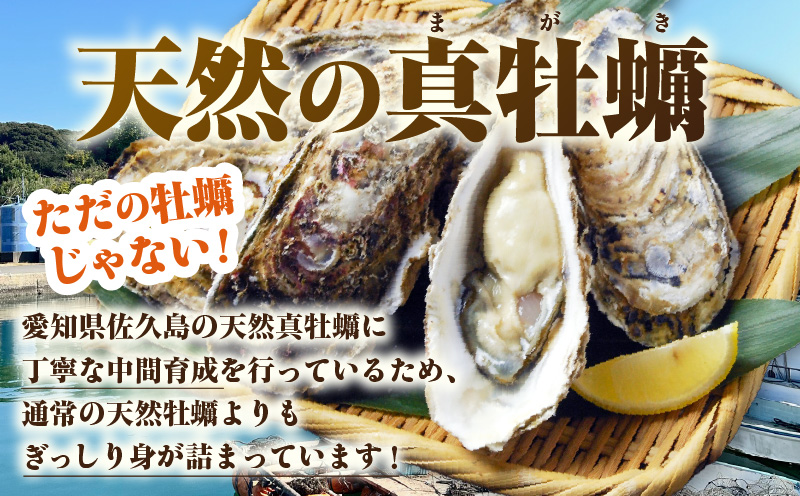 菴蝉ケ蟲カ逕」螟ゥ辟カ逵溽横陟」縲蜿ょキ槭が繧、繧ケ繧ソ繝シ縲5緕鞘岡驟埼#荳榊庄繧ィ繝ェ繧「シ壼圏豬キ驕薙サ豐也ク繝サ髮「蟲カ繝サ譚ア蛹励サ荵晏キ樞沖繝サE031