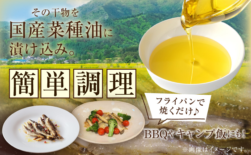 菜種油漬け干物セット・T139