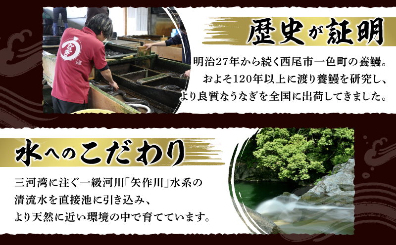 【定期便】一色産うなぎ　無頭　長蒲焼2尾（320g）×6回・I061