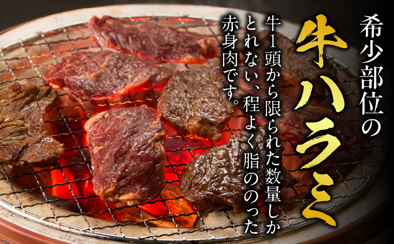 牛ハラミ　肉屋こだわりの特製タレ漬け800g（200g×4P）・T133