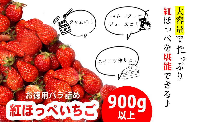 訳ありバラ詰めいちご(紅ほっぺ)　900g以上・O040-9-1 ／オオダケイチゴ 