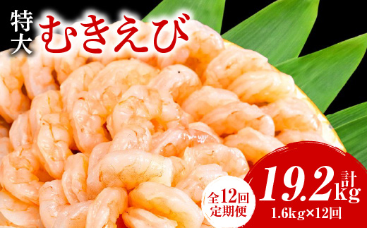 【定期便12回】特大大盛むきえび1.6kg（正味）《配達不可エリア：北海道・沖縄・離島》・K304