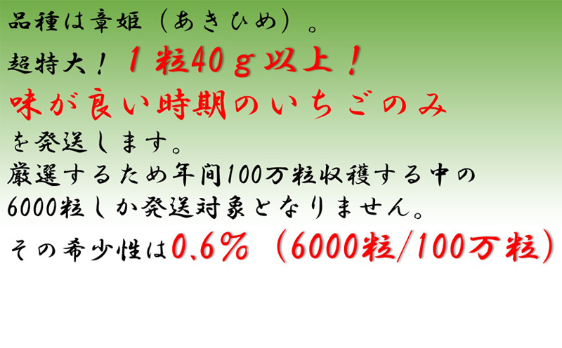 特大いちご(章姫)　360g以上(7〜9粒、1粒40g以上)・O038-11 ／オオダケイチゴ 