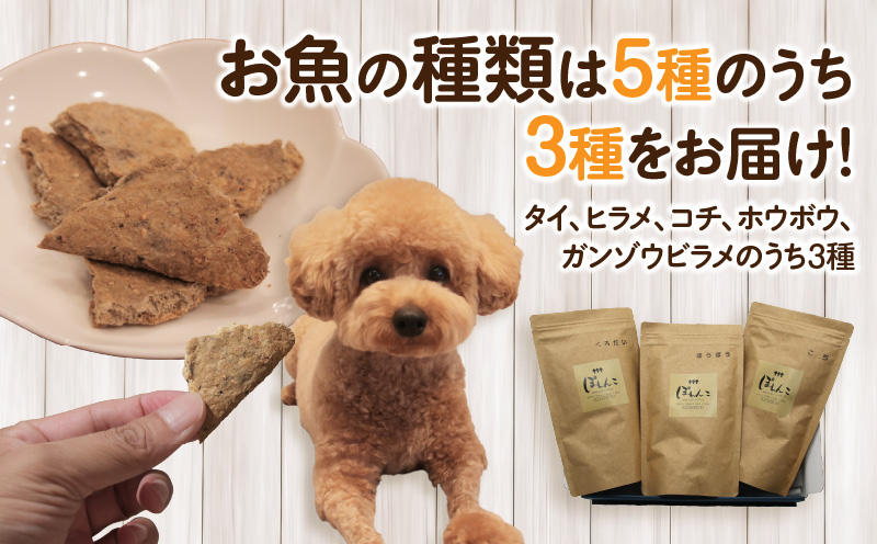 100%ãéã§äœã£ããããããŒãããœããããã»K209-22