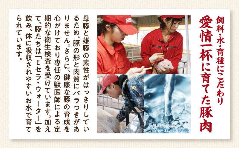 çœãšé»è±äžŒã®å
·é£ã¹æ¯ã¹ïŒè¢ã»ããã»S082