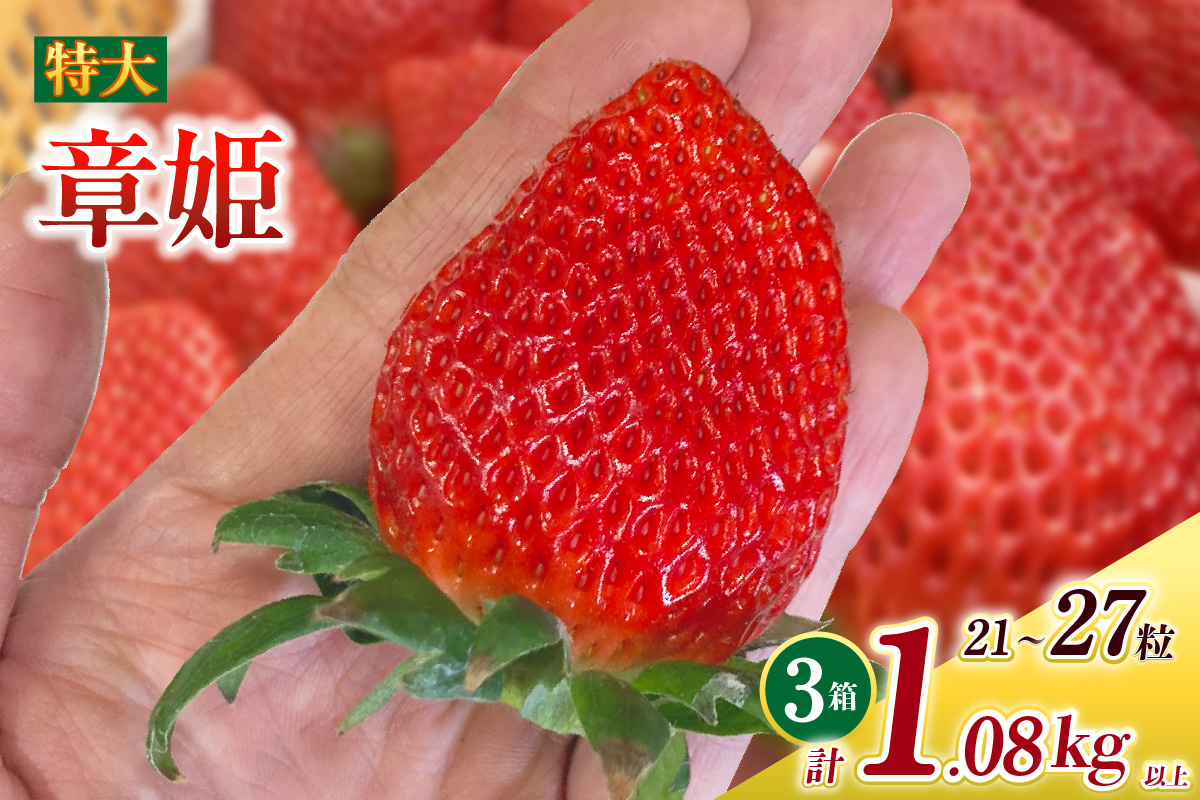 特大いちご(章姫)　360g以上(7～9粒)×3箱 ・O045-29