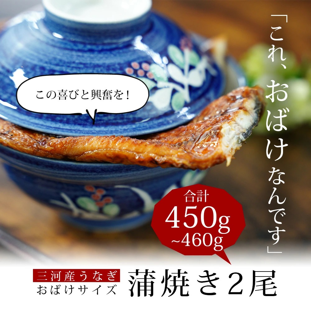 三河産うなぎ「おばけ蒲焼うなぎ2尾」(2尾合計450〜460g) 鰻 ウナギ うなぎ 蒲焼 国産 うなぎ蒲焼 タレ付き たれ 国産うなぎ 蒲焼き うな丼 丑の日 土用の丑の日・A126-19